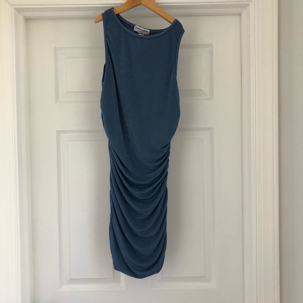 NWT Charlie Holiday Sonny Mini Dress